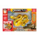 Slimy Dissect-It Megalab Frog & Piranha W Magnify Glass & Refill 2 - 38084-T