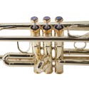 Artland Professional Brass Instruments Solid Yellow Brass Trumpet with Case - ATR8800