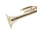 Artland Professional Brass Instruments Solid Yellow Brass Trumpet with Case - ATR8800
