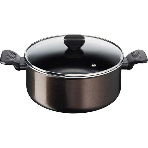 Tefal Easy Cook & Clean Stewpot 24cm - B5544602