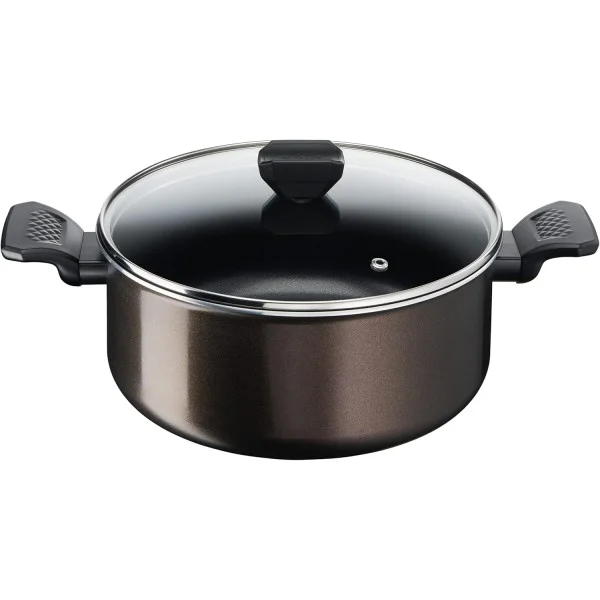 Tefal Easy Cook & Clean Stewpot 24cm - B5544602