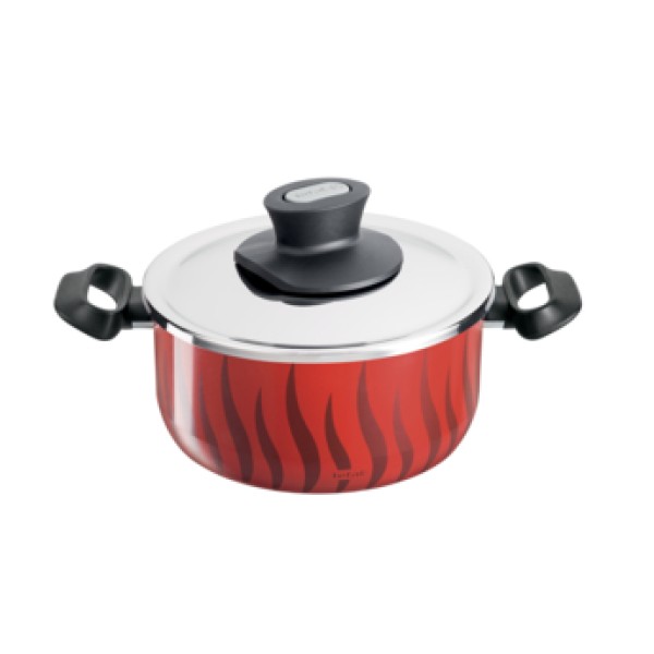 Tefal Tempo Flamme Stewpot 22cm with Lid - C3044583