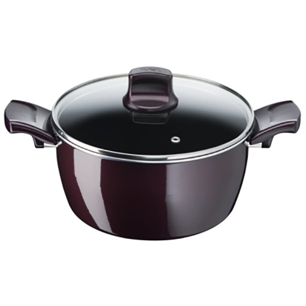 Tefal Resist Intense Stewpot 22cm With Glass Lid - D5224582