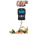 Orca Electronic Portable Scale 50kg - OR-170