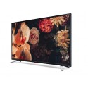 Sharp 42-inch LED FHD Android Smart TV - 2T-C42EG5NX
