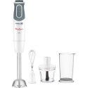 Moulinex 800Watts, 20 Speed Optichef 3-in-1 Hand Blender with Accessories - DD643127