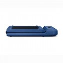 KING SMITH WalkingPad C2 Foldable Treadmill, Blue - KINGSMITH-C2-BL