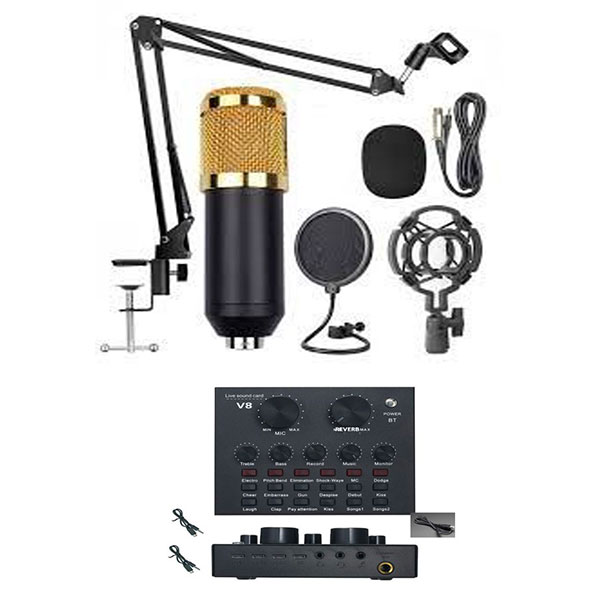 Professional Condenser Sound Recording Microphone Set - SR-MS