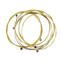 ORPHEE Acoustic Guitar Strings - TX640