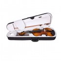 ARTLAND Plywood Violin, Size 1/16 with Case & Bow - GV101F-1/16