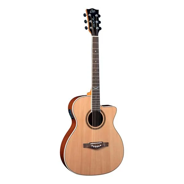 EKO Electro-Acoustic...