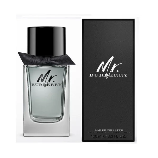 Burberry Mr. Burberry, Eau de Toilette for Men - 100ml