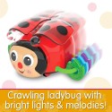 The Learning Journey – Crawl About Ladybug - 557624-T