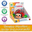 The Learning Journey – Crawl About Ladybug - 557624-T