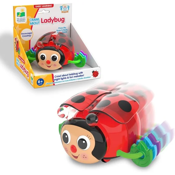 The Learning Journey &ndash; Crawl About Ladybug - 557624-T