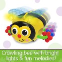 The Learning Journey - Crawl About Bee - 557822-T