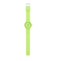 Casio Green Dial Resin Band Analog Watch for Women - LQ-24B-3BDF