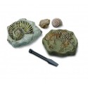 Discovery Toy Excavation Kit Mini Fossil 2Pc - 1423004771-T