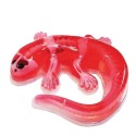 Slimy Joker Dissect-It Salamander - 38071-T