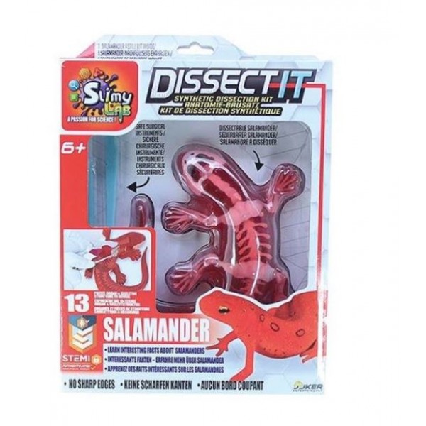 Slimy Joker Dissect-It Salamander - 38071-T