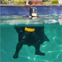 SwimWays DC Batman Floatin' Figure - 6067008-T