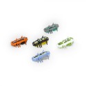 HexBug Nano Nitro 5-Pack CDU - 6068993-T