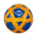Smart Ball-Pro Football - SBTB1B-T