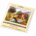 ALICE Classical Guitar Strings - A106H