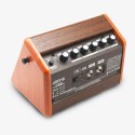 AROMA 15-Watt Acoustic Guitar Amplifier with Bluetooth - AG-15A