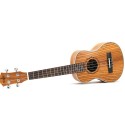 Professional Ukulele, Wooden High Quality 26inch Guitar - CS-BM100