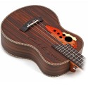 Professional Ukulele, Wooden High Quality 26inch Guitar - CS-MG200