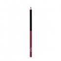 WET N WILD Color Icon Lipliner Pencil, Fab Fuschia - E664C