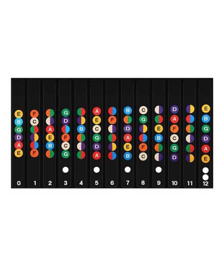 Guitar Fretboard Sti...